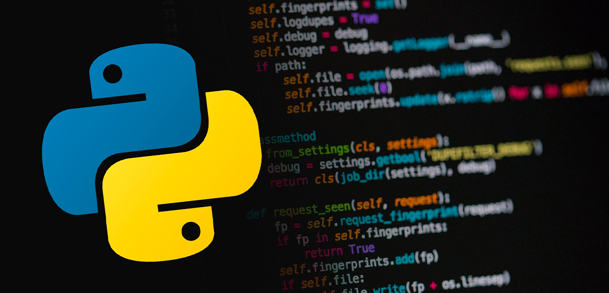 Why Choose Python for Your Next Web Development Project